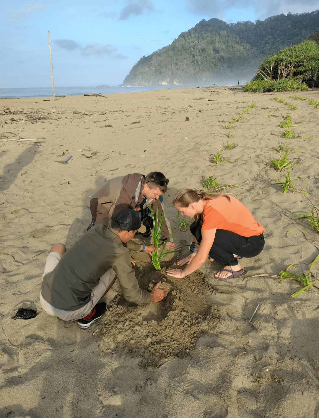 Tree Planting Sukamade Conservation