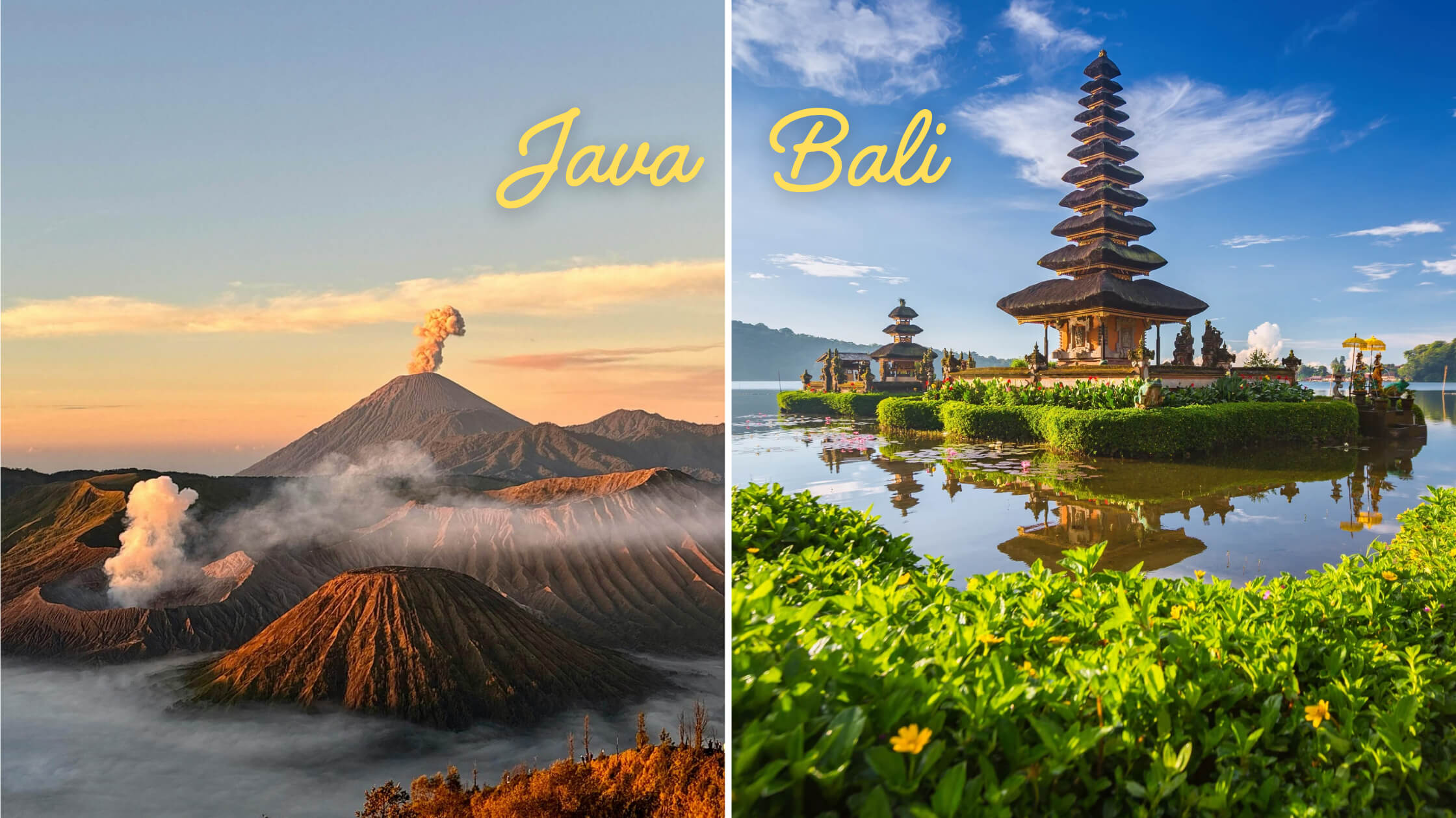 java vs bali