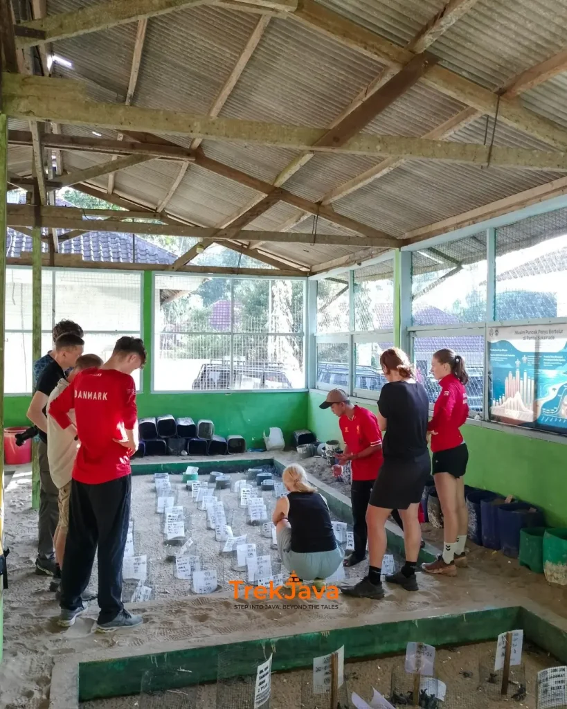 Ranger guiding visitors at a turtle hatchery after releasing hatchlings