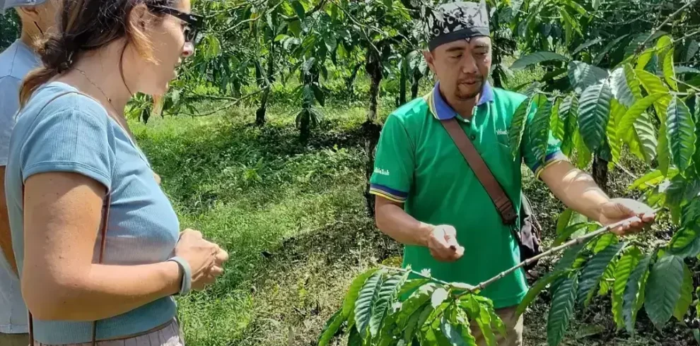 Kaliklatak Plantation Tour through coffee and rubber plantations