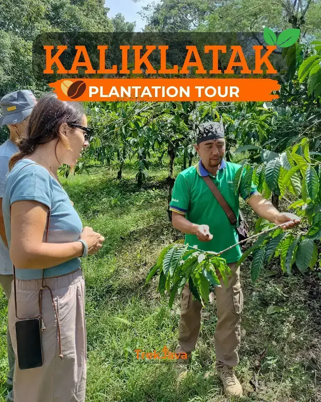 Kaliklatak Plantation Tour through coffee and rubber plantations